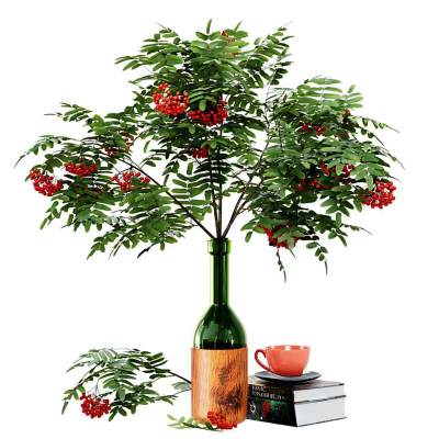 现代花瓶花艺 书籍